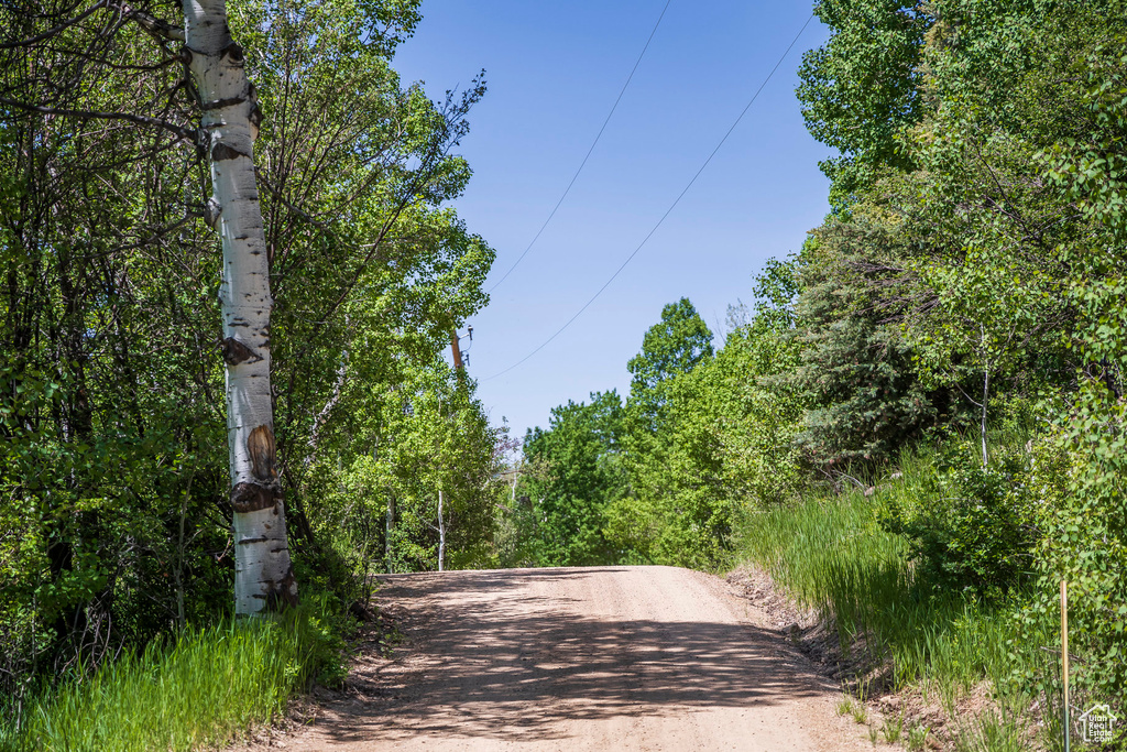 View of dirt / gravel road