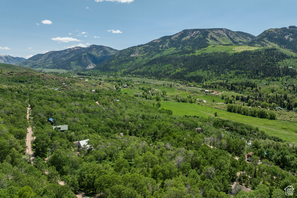 Mountain view with a heavily wooded area