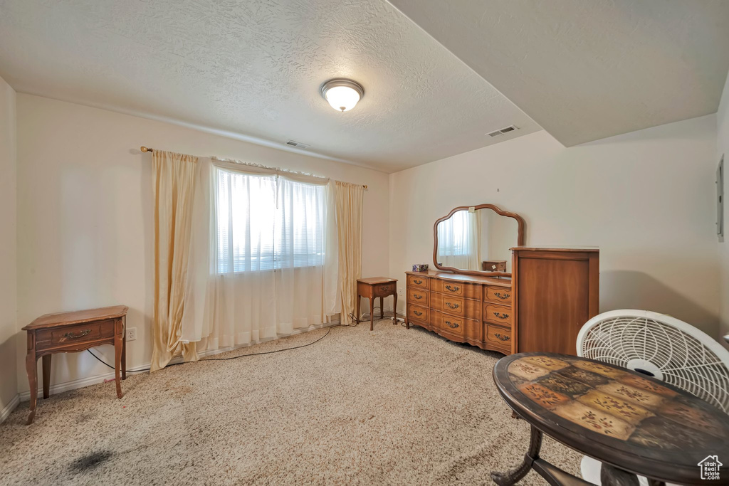 Living area with light colored carpet, baseboards, and a textured ceiling