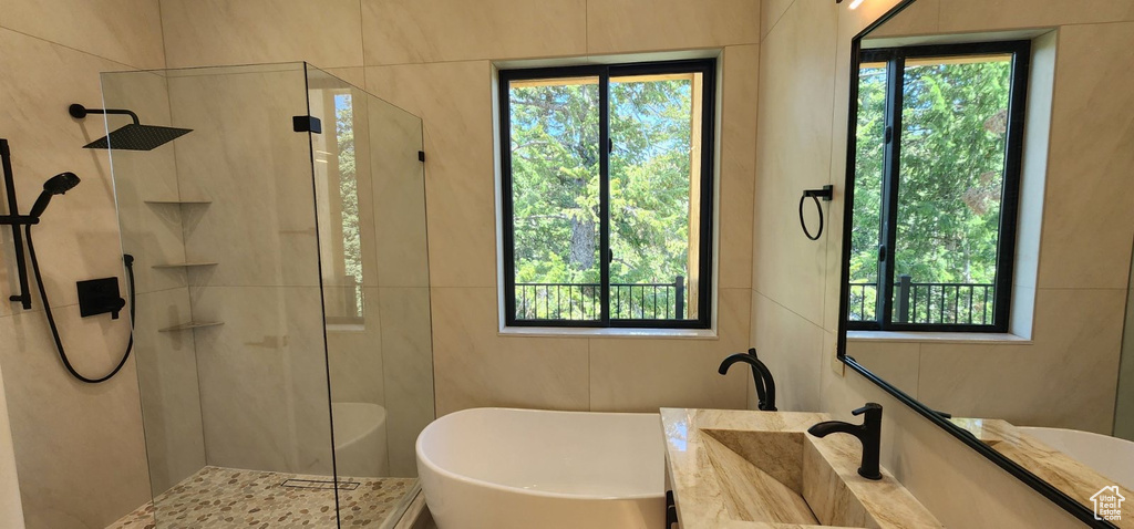 Full bathroom with a shower with door, vanity, plenty of natural light, and a freestanding bath