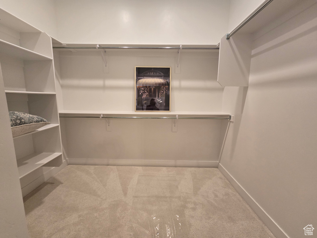 Walk in closet featuring carpet floors