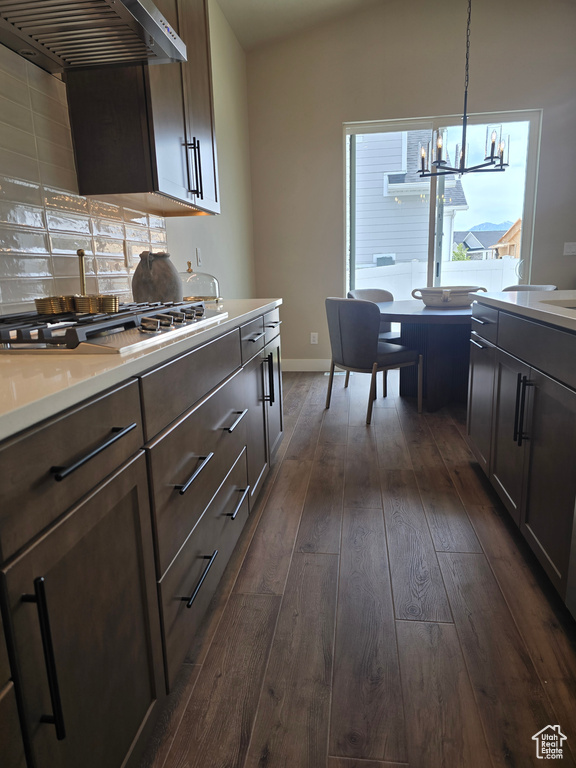 Kitchen featuring dark wood-style floors, light countertops, premium range hood, stainless steel gas stovetop, and dark brown cabinets