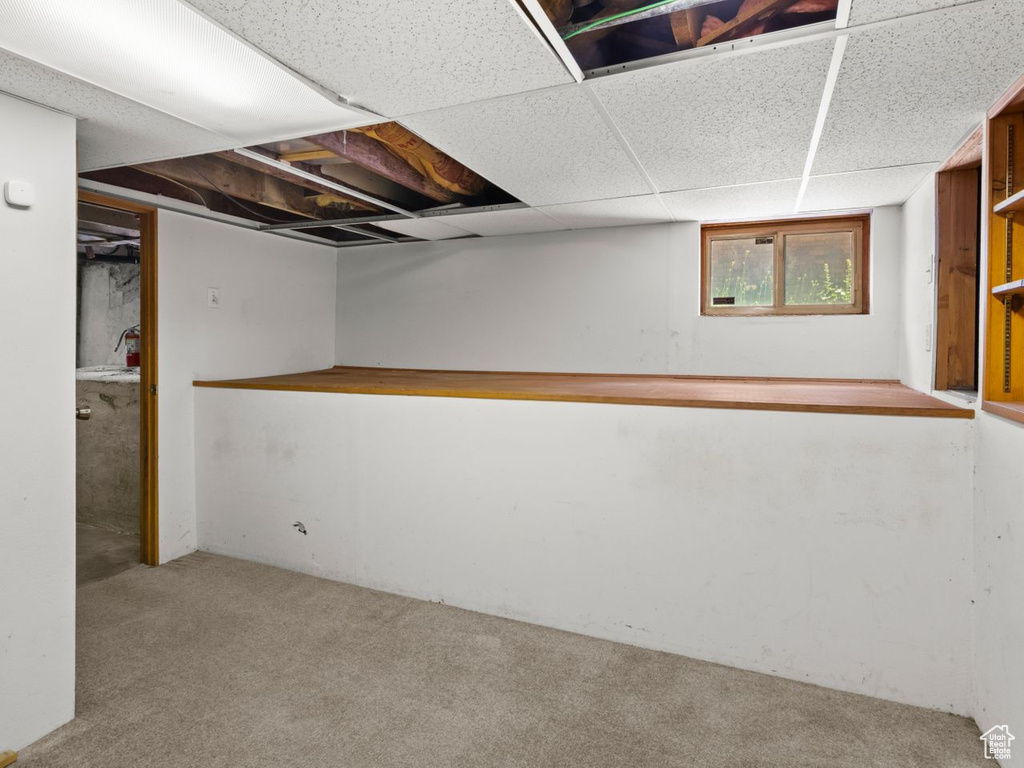 Basement featuring carpet