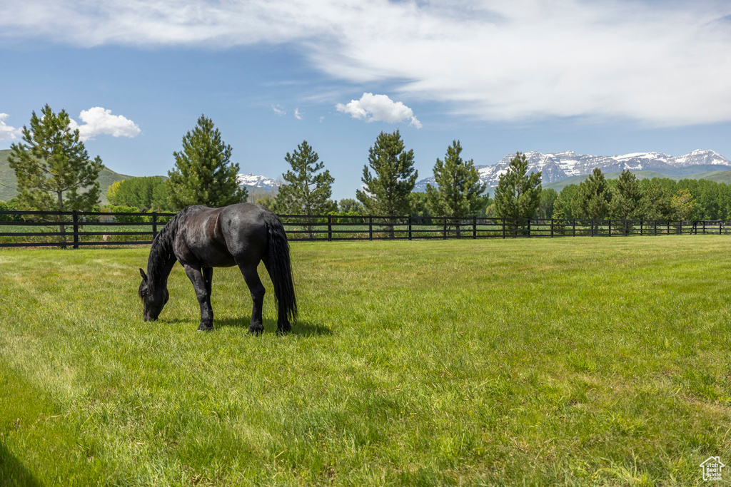 View of yard featuring a rural view and a mountain view