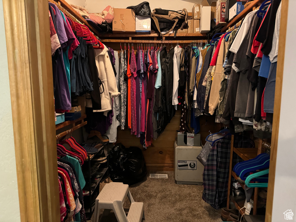 Spacious closet featuring carpet flooring