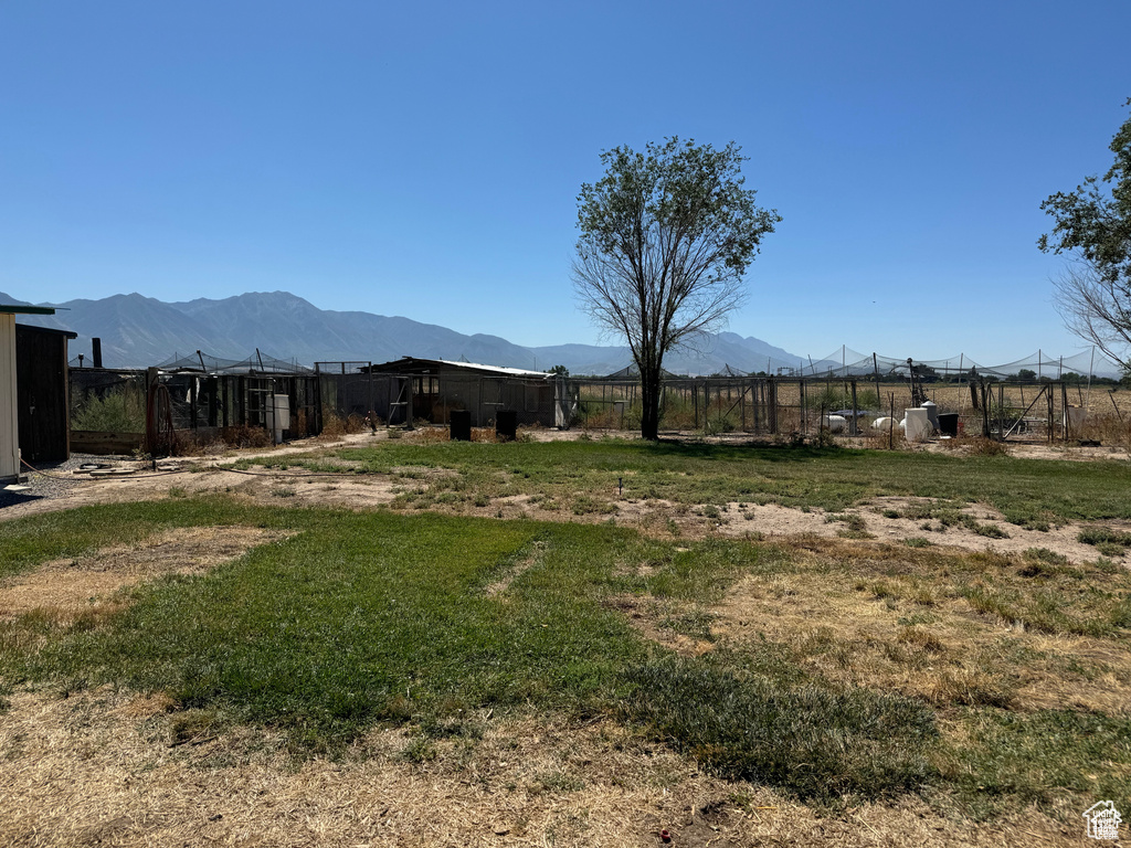 View of yard featuring a mountain view