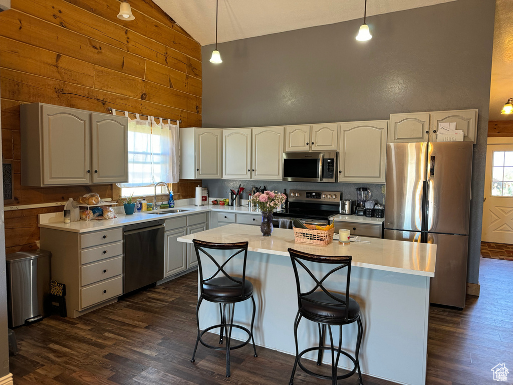 Kitchen featuring stainless steel appliances, high vaulted ceiling, a sink, dark wood-type flooring, and plenty of natural light