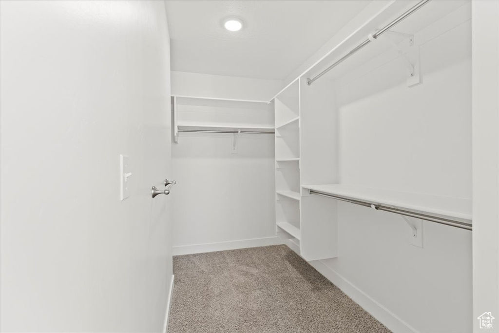 Walk in closet with carpet flooring