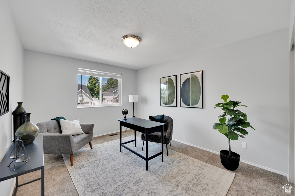 Office featuring carpet floors, baseboards, and a textured ceiling