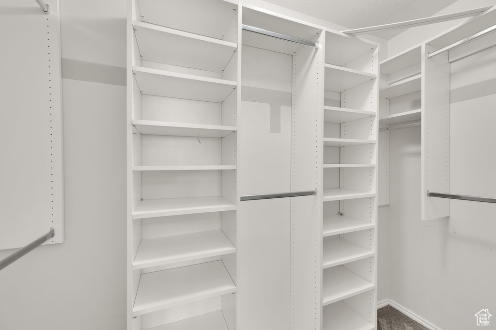 View of walk in closet