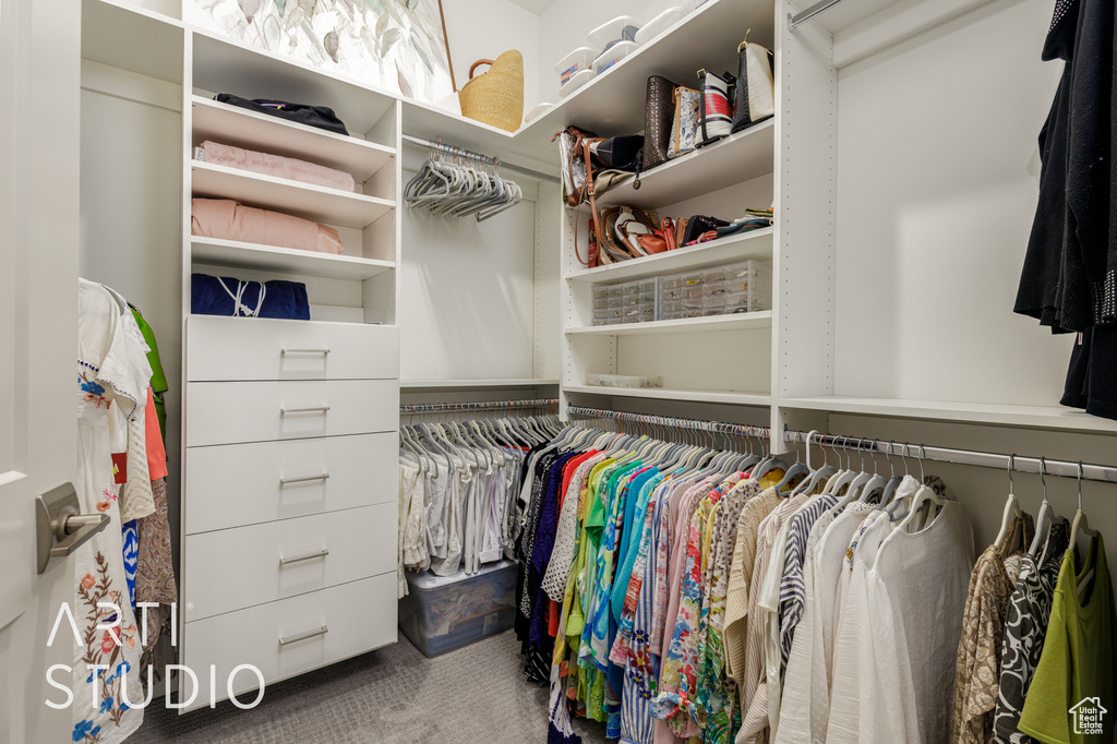 Walk in closet featuring carpet floors