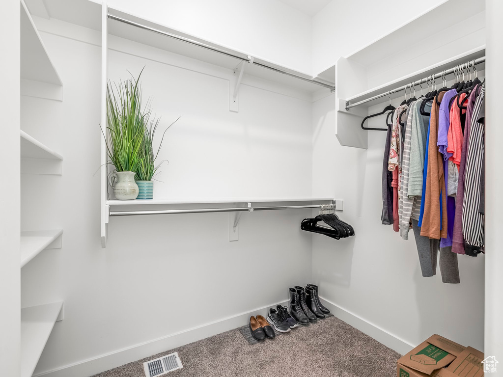 Walk in closet with carpet floors