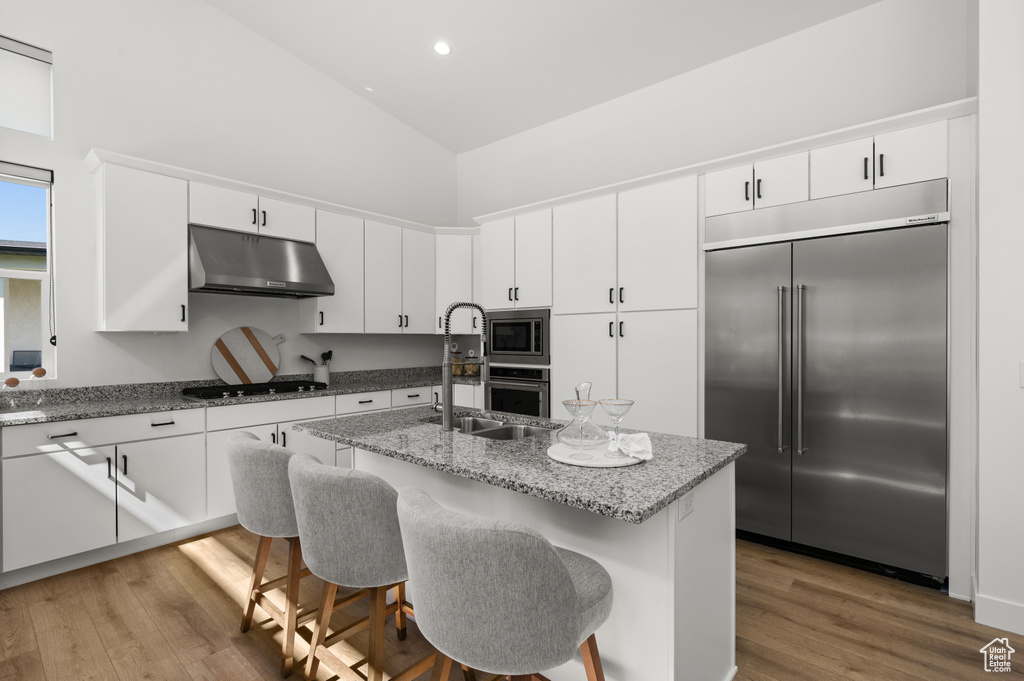 Kitchen featuring built in appliances, under cabinet range hood, high vaulted ceiling, a sink, and light wood-style flooring