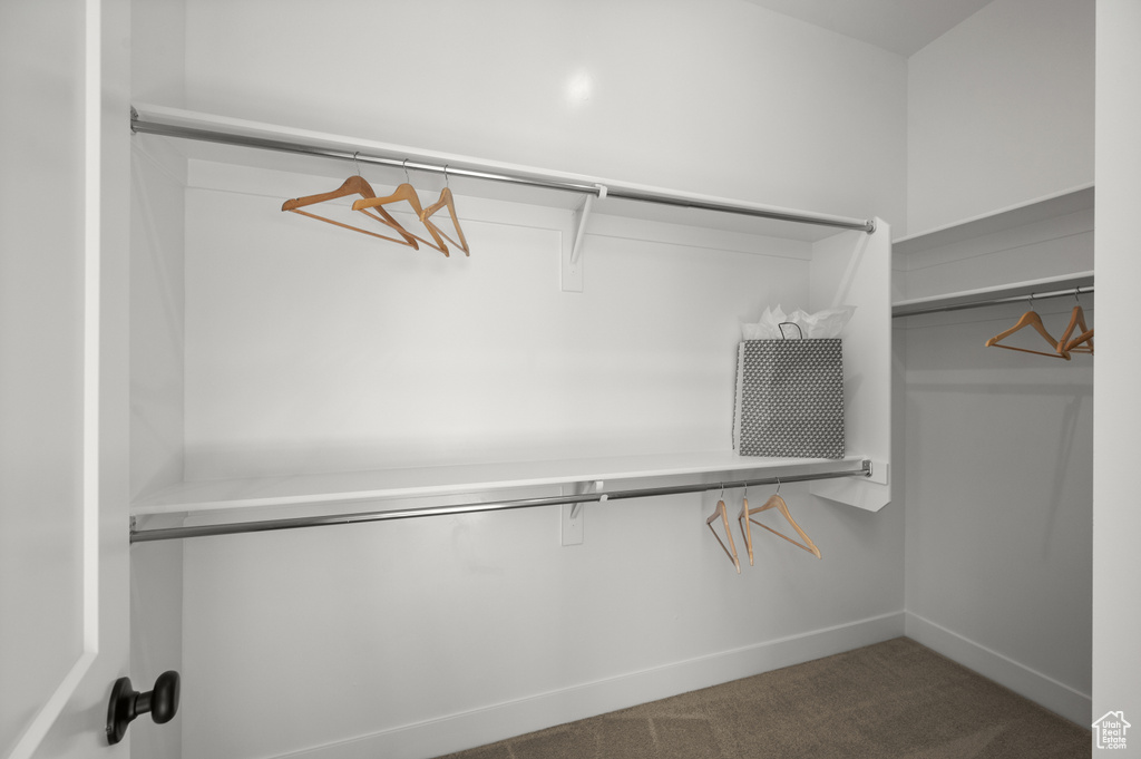 Walk in closet featuring carpet flooring