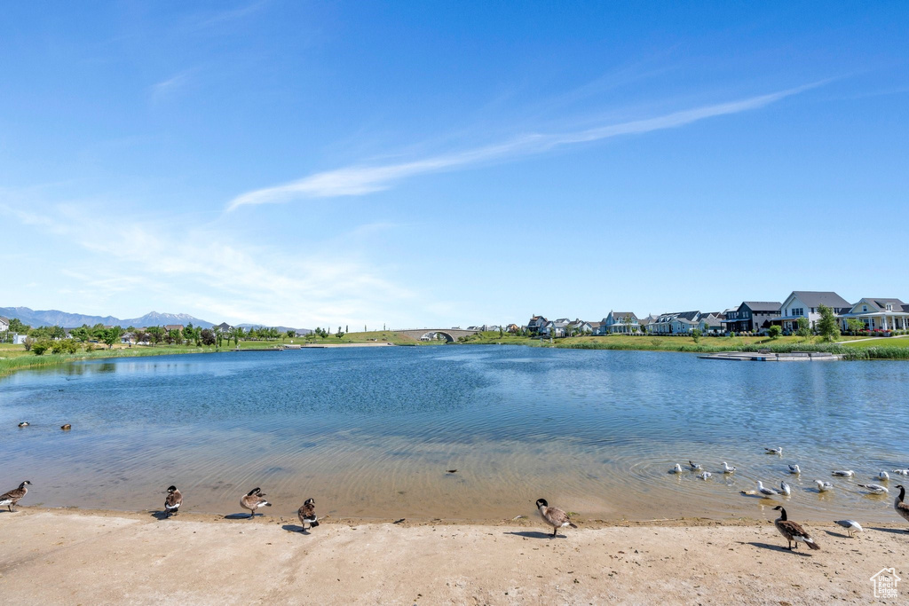 Water view