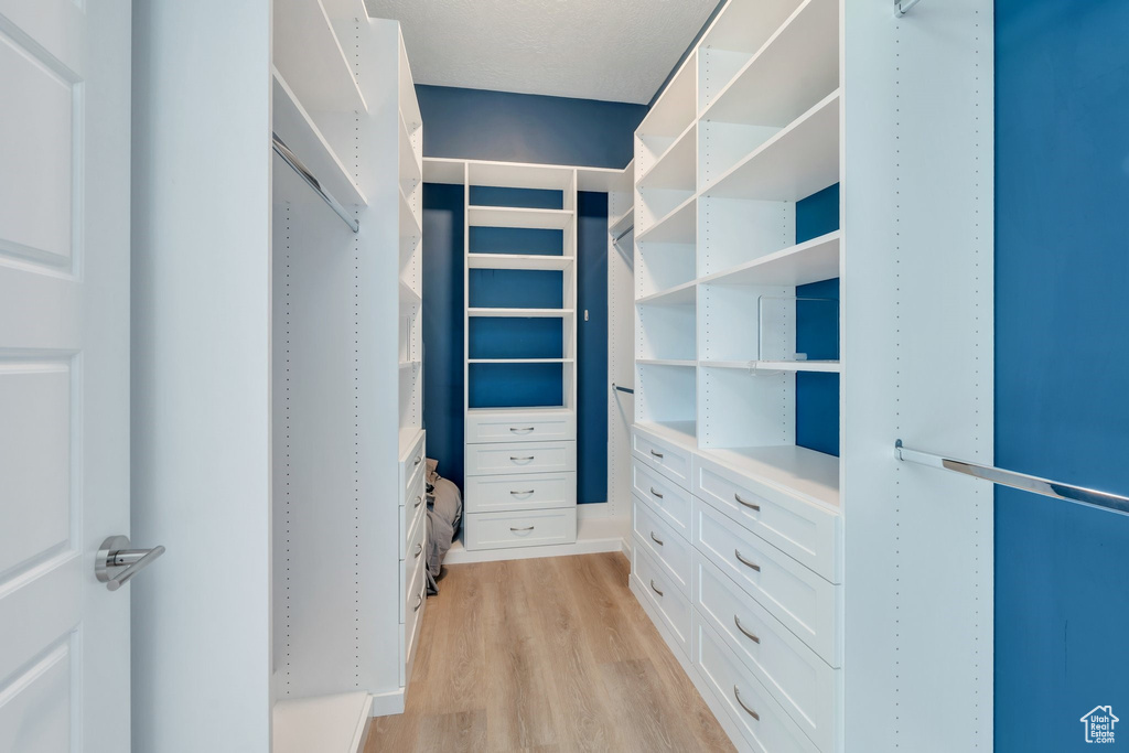 Spacious closet featuring light wood-style flooring
