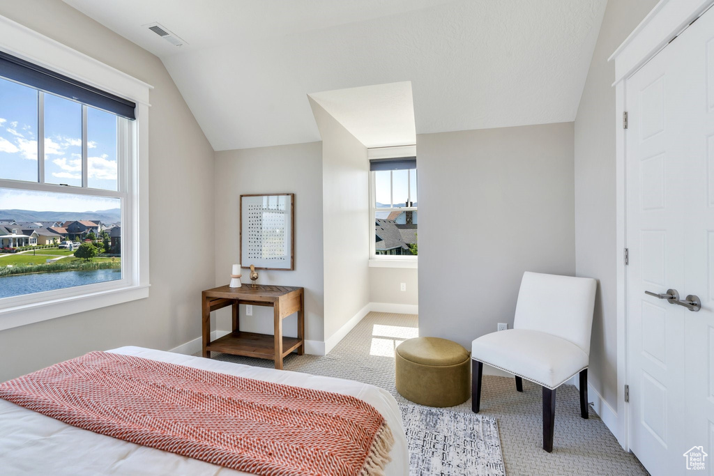 Carpeted bedroom featuring lofted ceiling and baseboards
