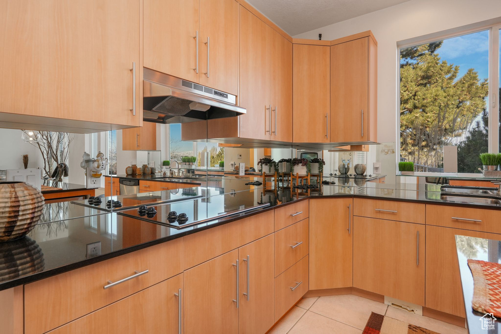 Kitchen featuring under cabinet range hood, black electric cooktop, a sink, dark stone countertops, and light tile patterned floors