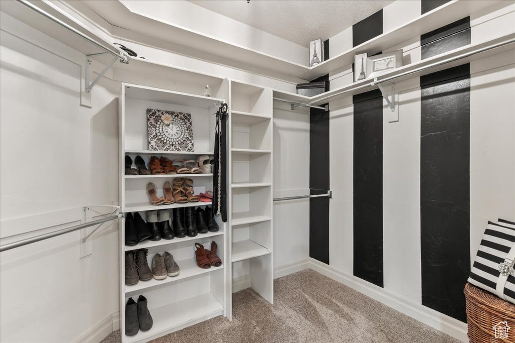 Spacious closet featuring carpet flooring