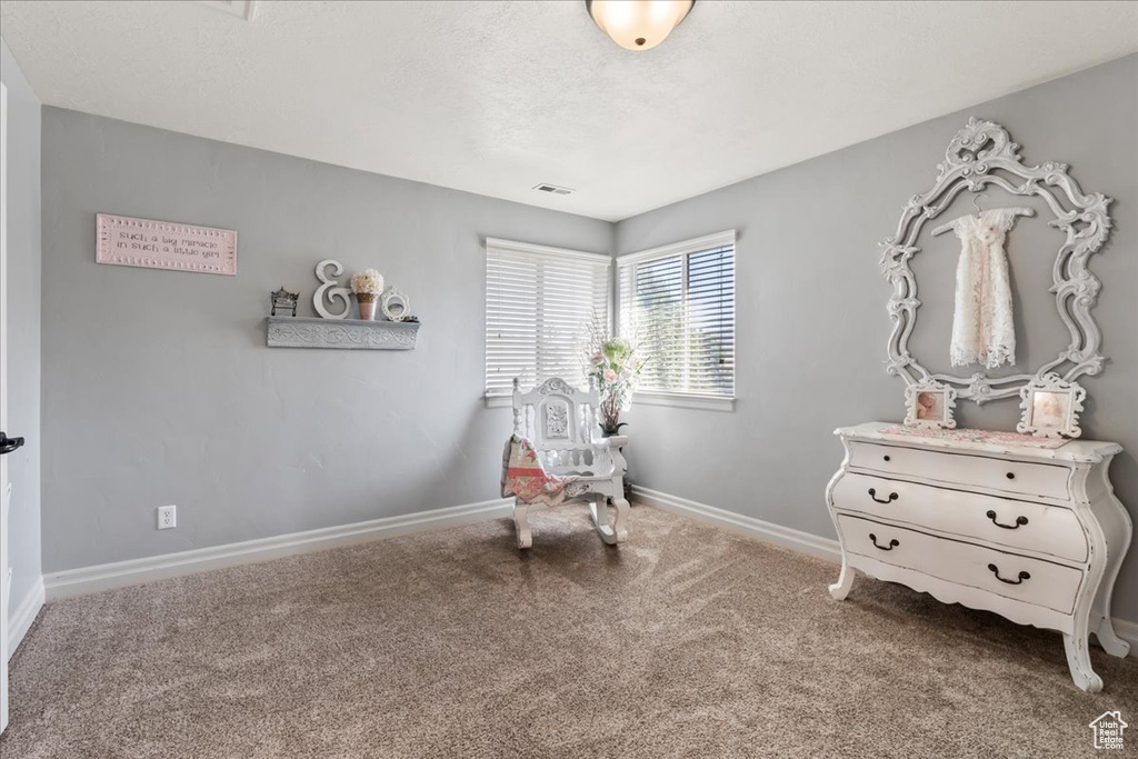 Sitting room with carpet, baseboards, and a textured ceiling