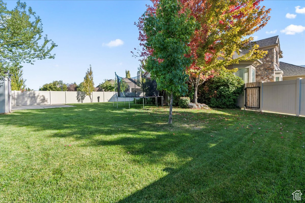 View of yard with a trampoline