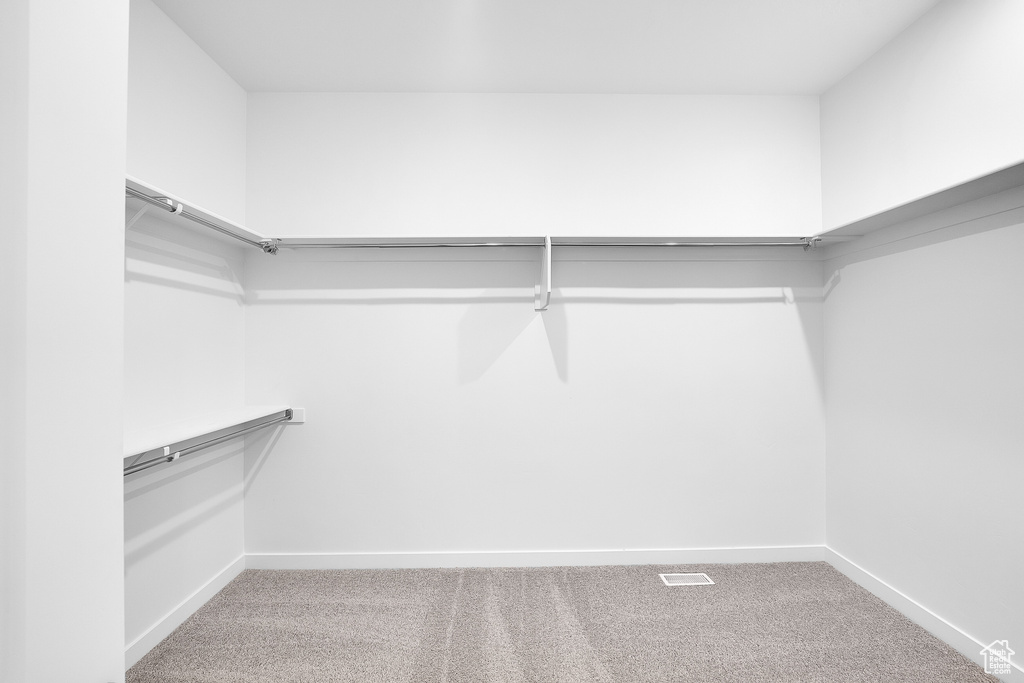 Walk in closet with carpet
