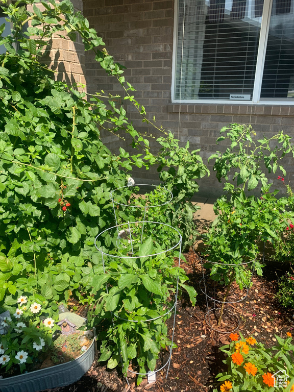 Exterior view of a garden