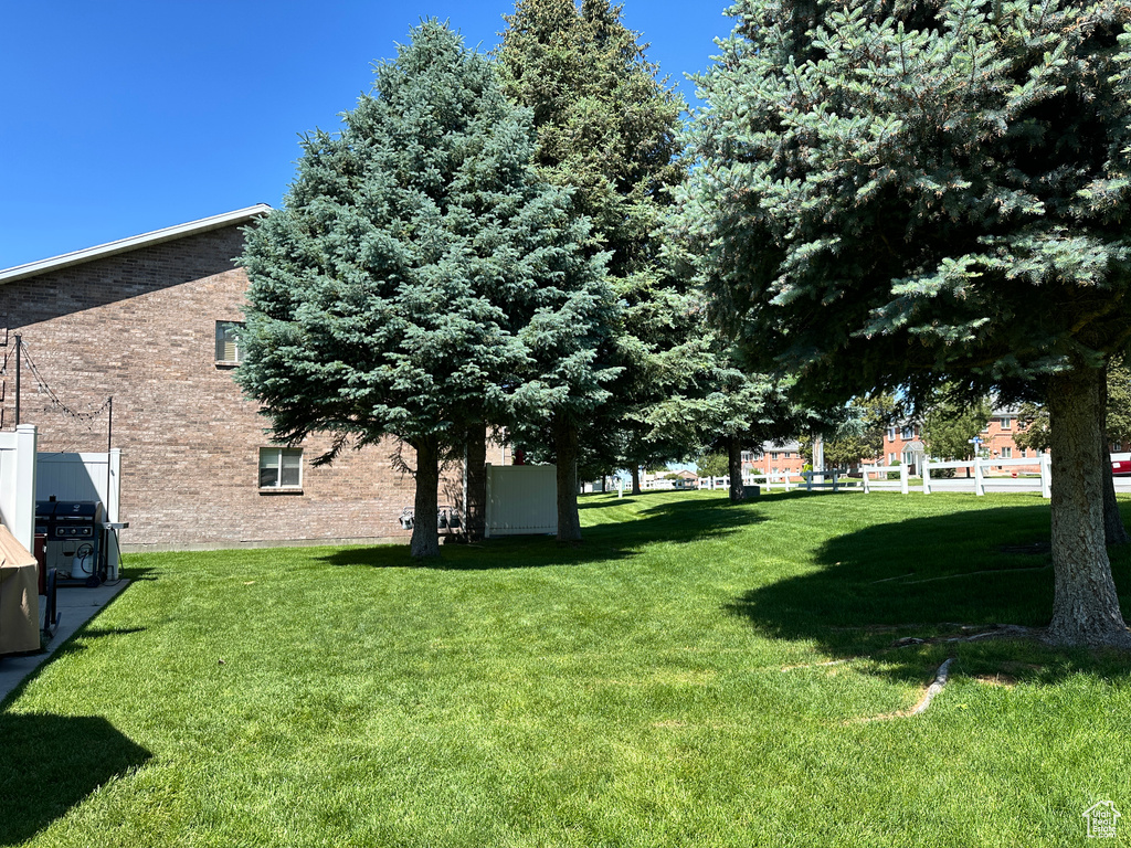 View of green lawn