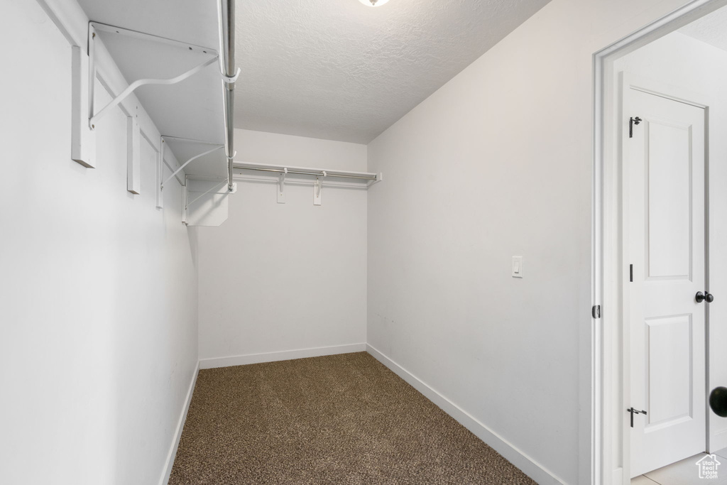 Spacious closet featuring carpet