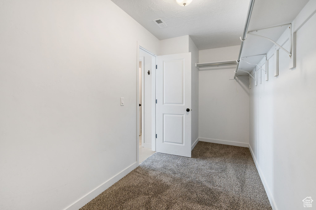 Spacious closet featuring carpet flooring