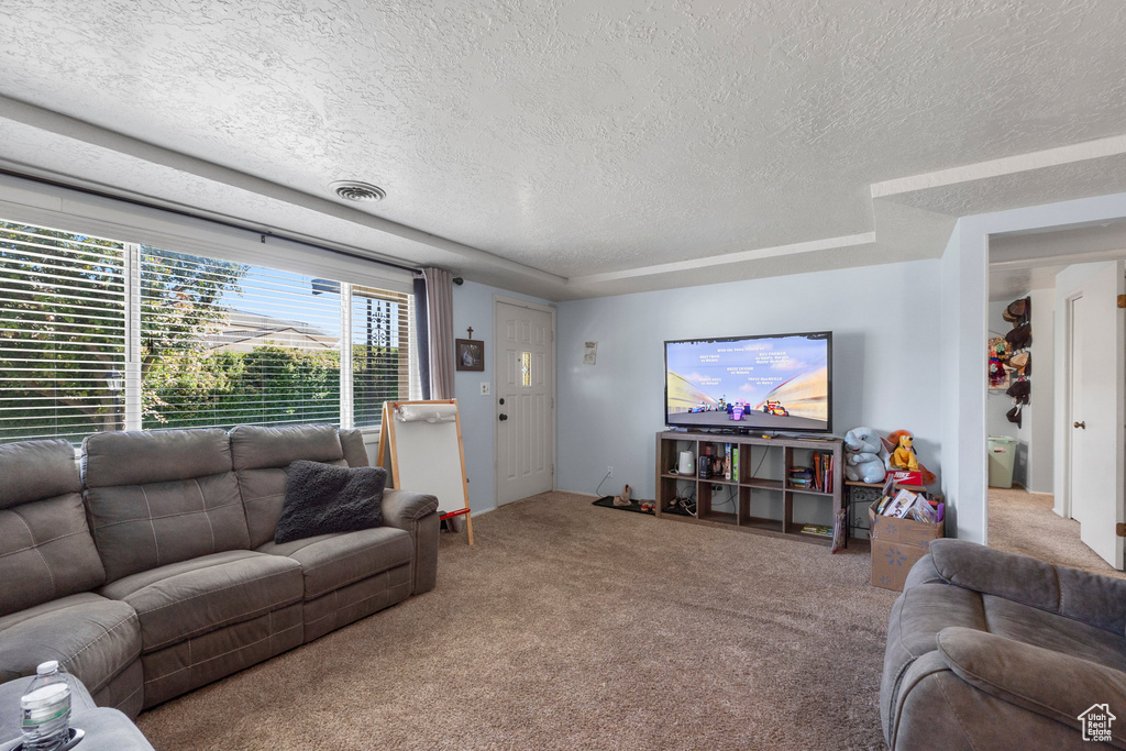 Carpeted living room featuring a textured ceiling and a raised ceiling