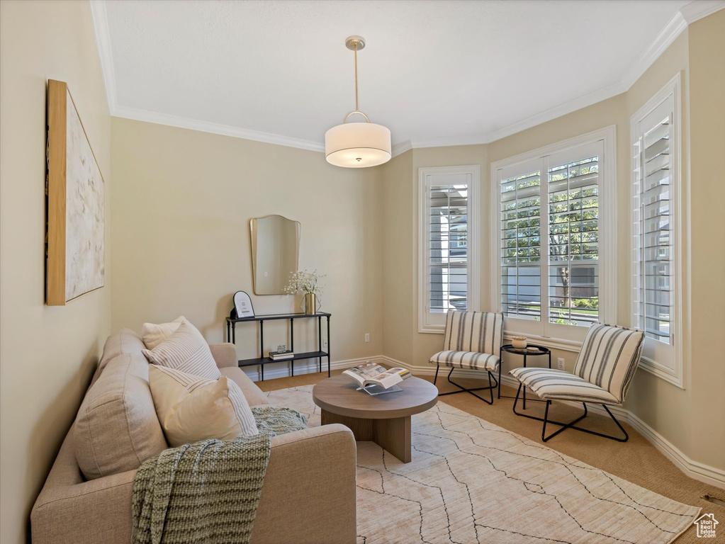 Living area featuring crown molding and baseboards