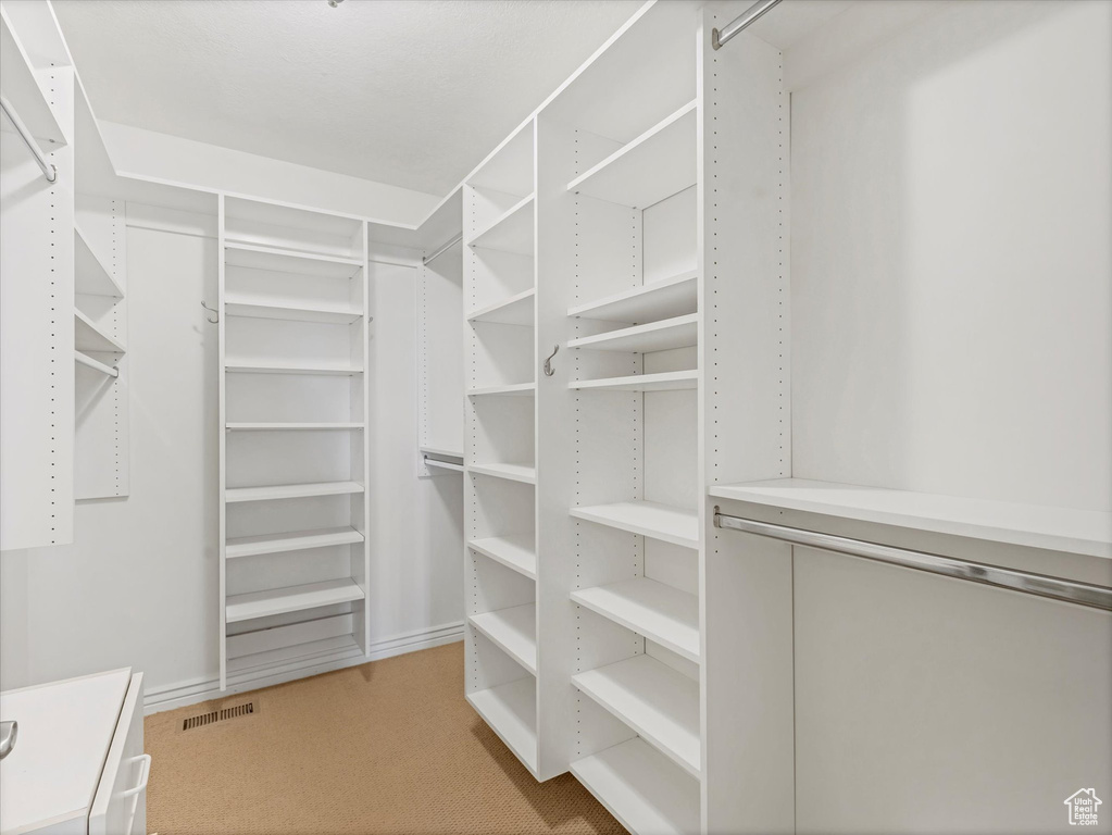 Walk in closet featuring carpet floors