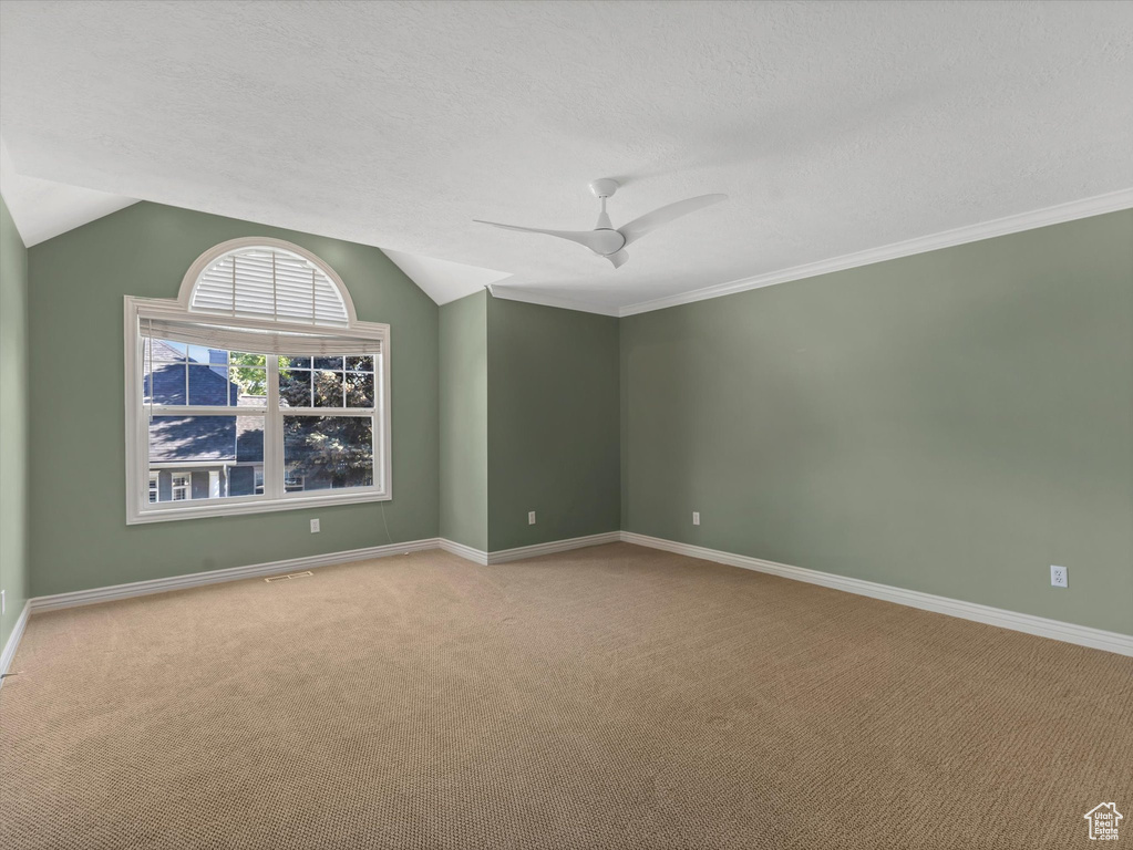 Carpeted empty room with baseboards, lofted ceiling, a ceiling fan, and a textured ceiling