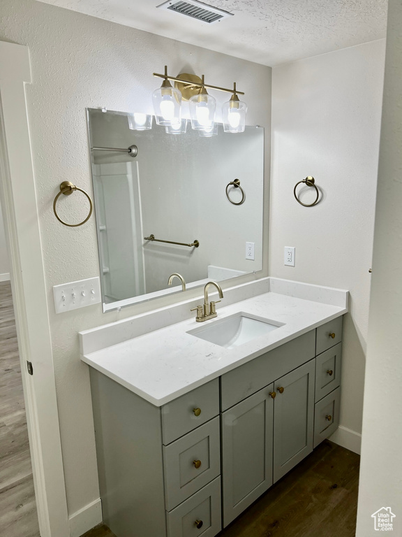 Bathroom with wood finished floors, vanity, a textured ceiling, and baseboards