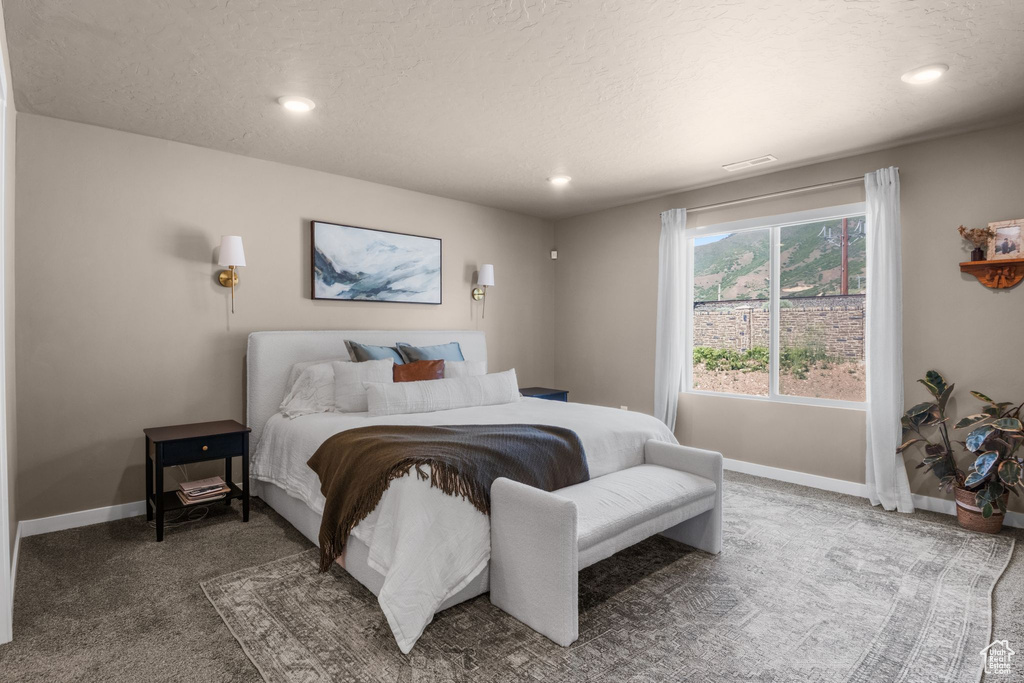Carpeted bedroom featuring baseboards, recessed lighting, and a textured ceiling