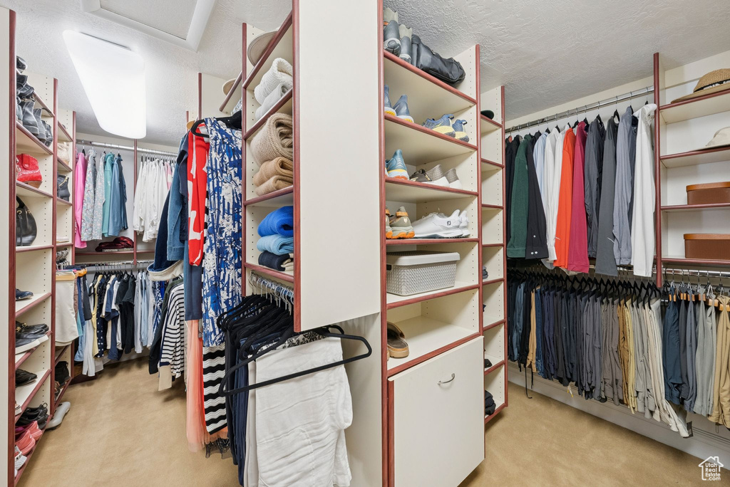 Walk in closet featuring attic access and carpet flooring