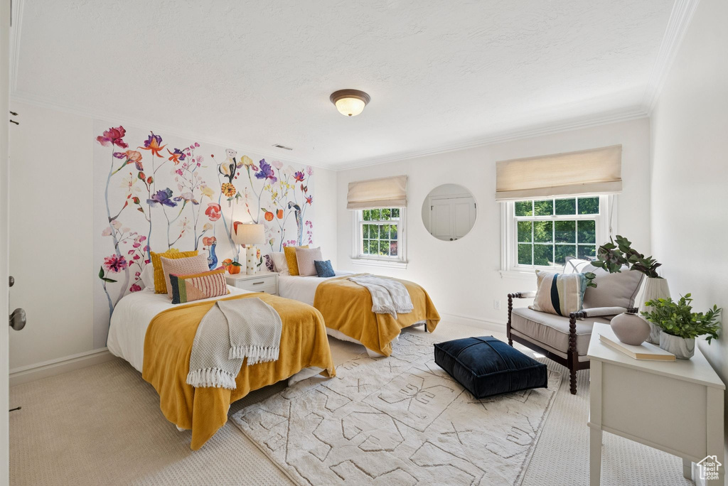 Carpeted bedroom with crown molding, baseboards, and a textured ceiling