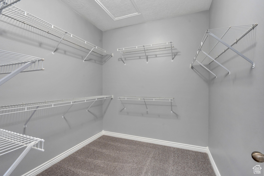 Spacious closet featuring carpet floors