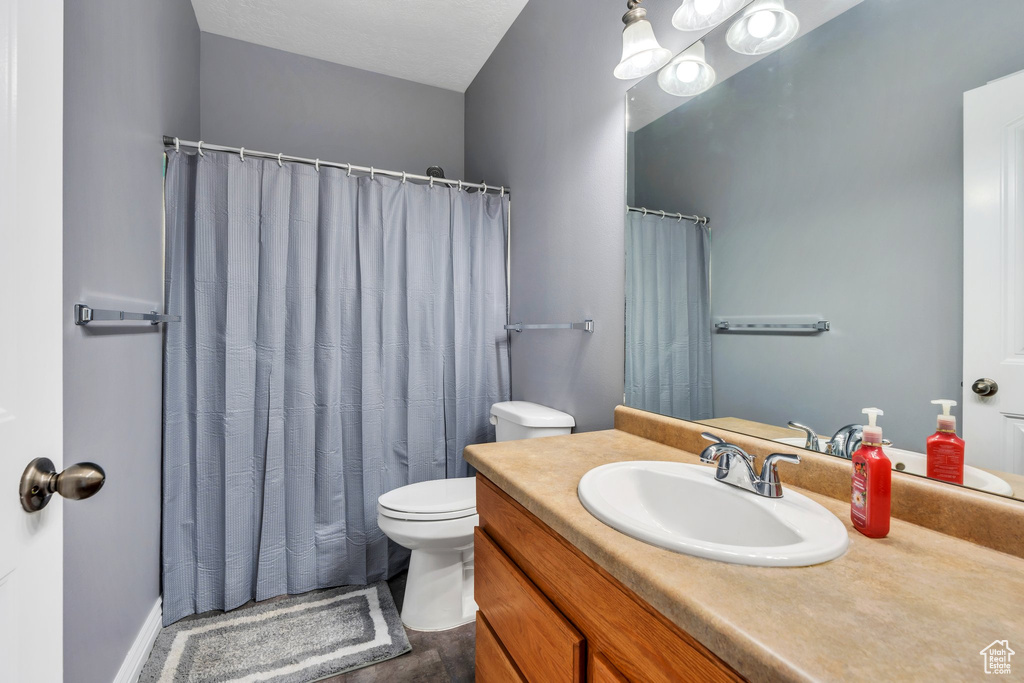 Full bathroom featuring toilet, vanity, a shower with shower curtain, and wood finished floors