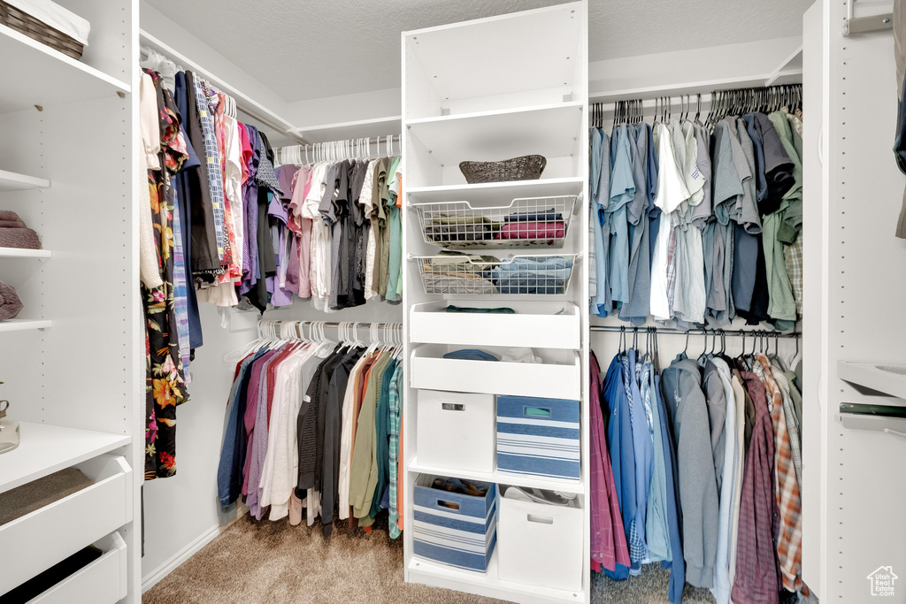 Walk in closet with carpet