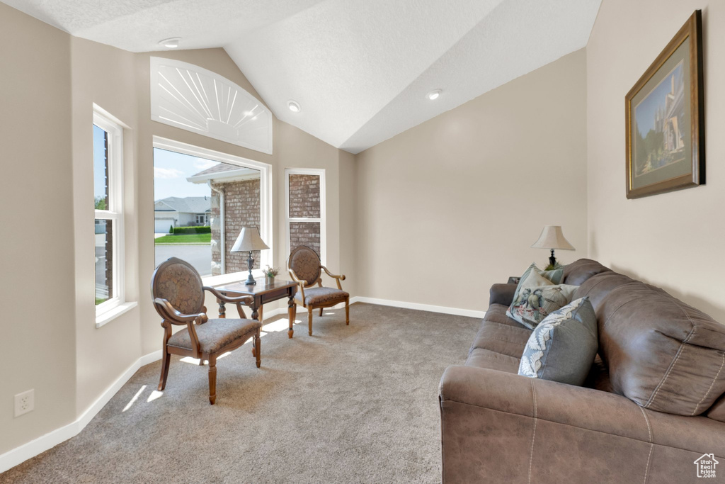 Living area featuring carpet flooring, lofted ceiling, and baseboards