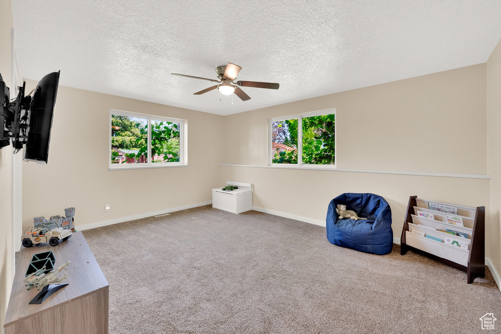 Sitting room featuring a ceiling fan, healthy amount of natural light, baseboards, carpet flooring, and a textured ceiling