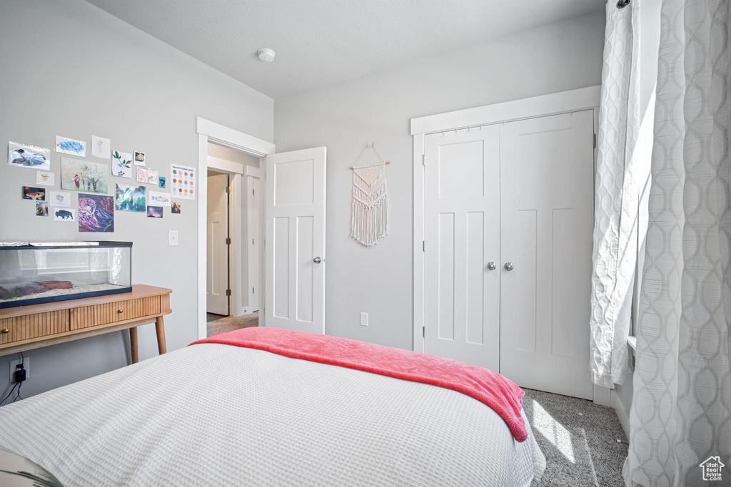 Bedroom with a closet and carpet