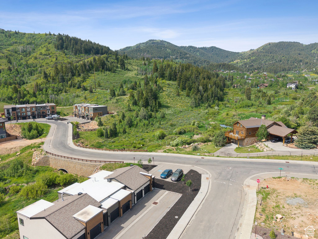 Drone / aerial view of a mountain backdrop and a forest