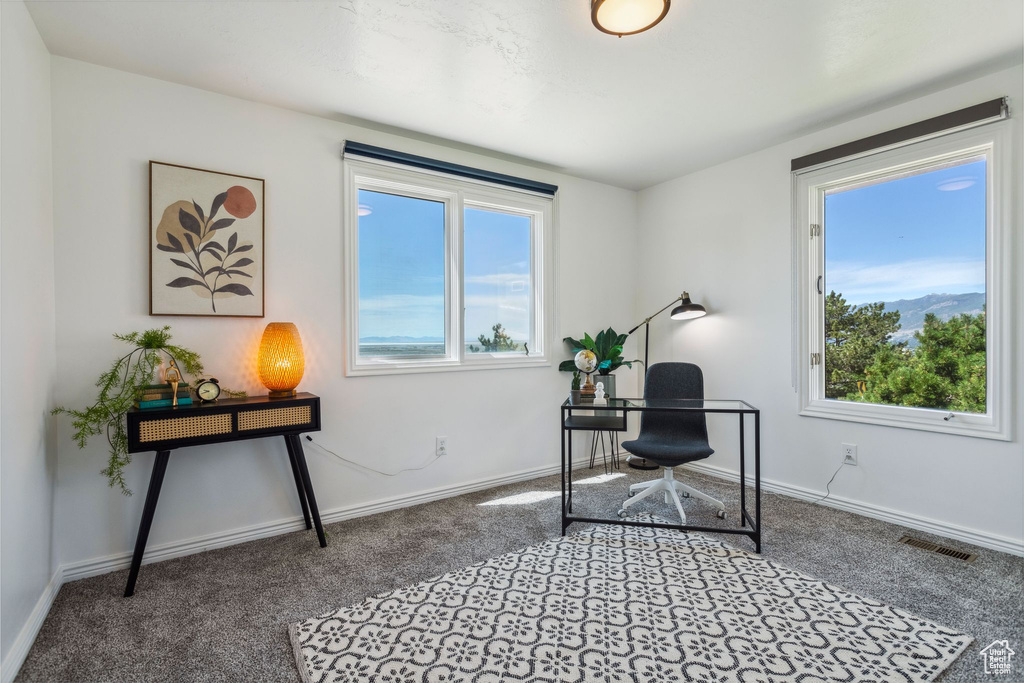 Home office featuring plenty of natural light, carpet, and baseboards