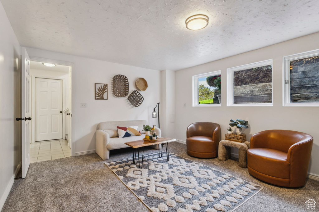 Carpeted living area featuring a textured ceiling and baseboards