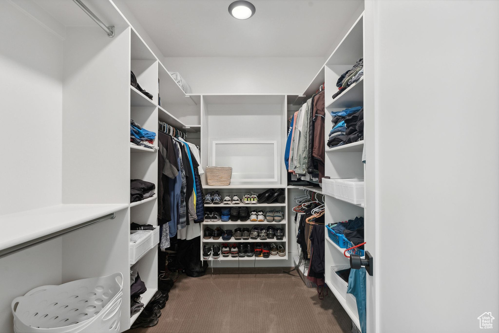 Walk in closet with carpet