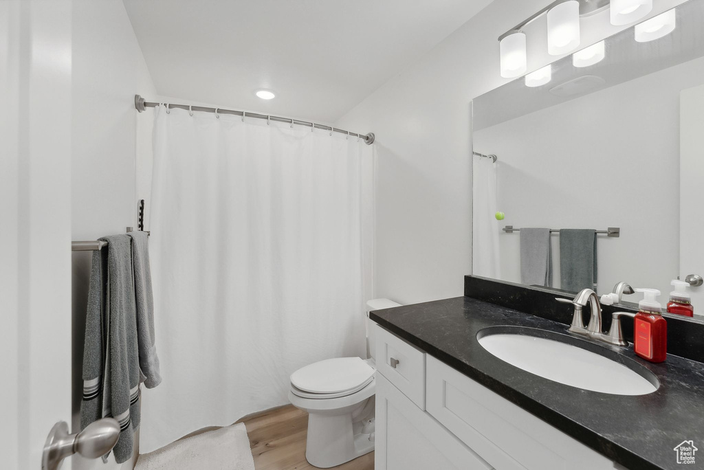 Bathroom featuring toilet, vanity, wood finished floors, and a shower with shower curtain