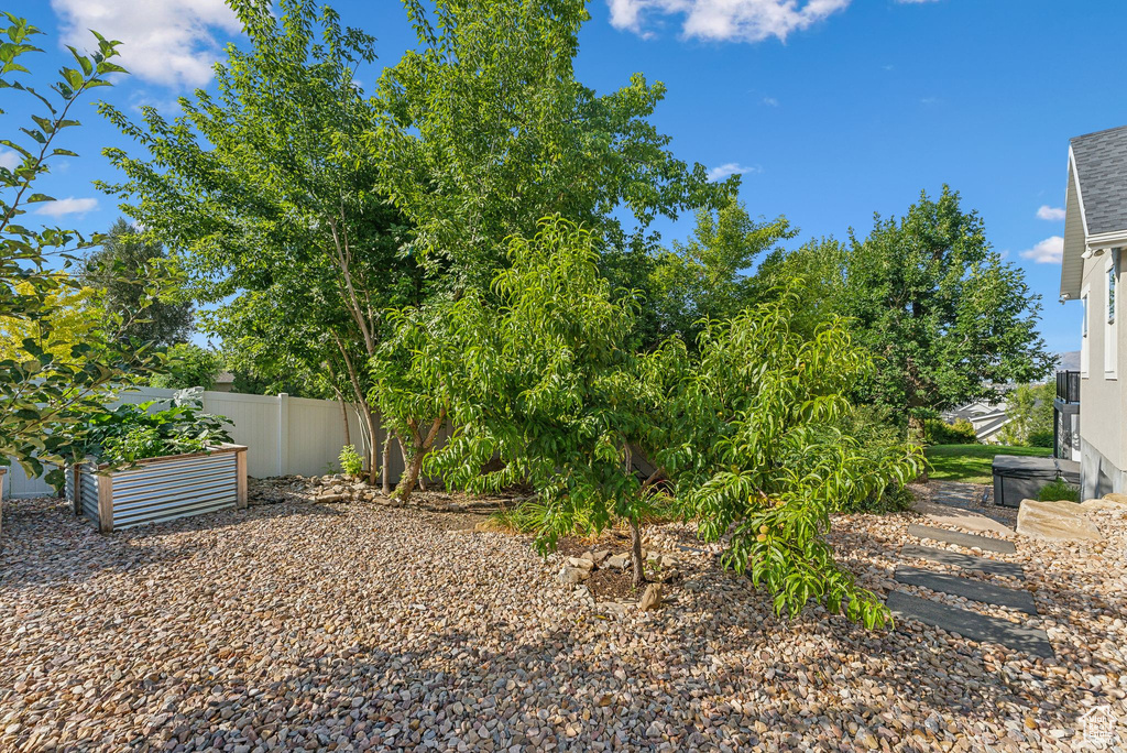 View of yard featuring a vegetable garden